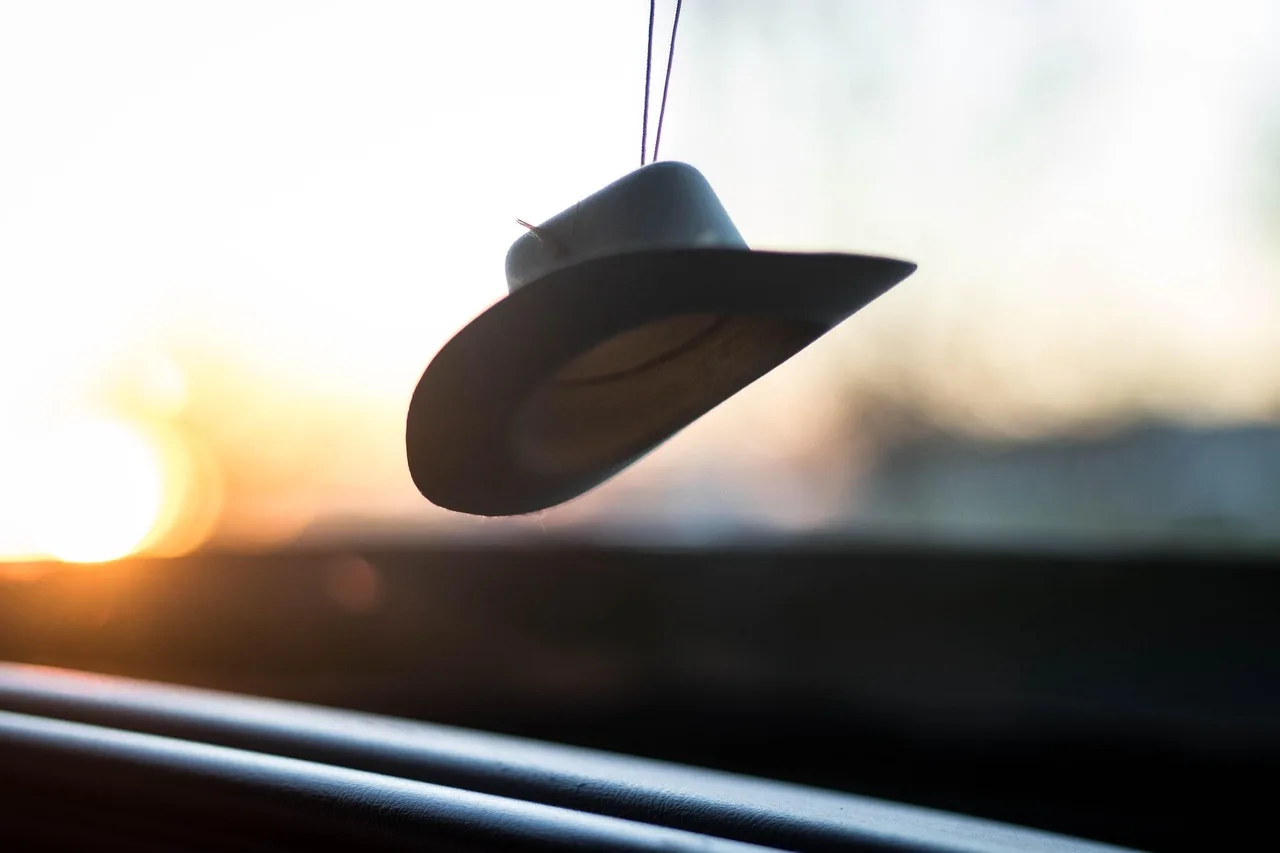 country, dashboard, evening, focus, hat, sunlight
